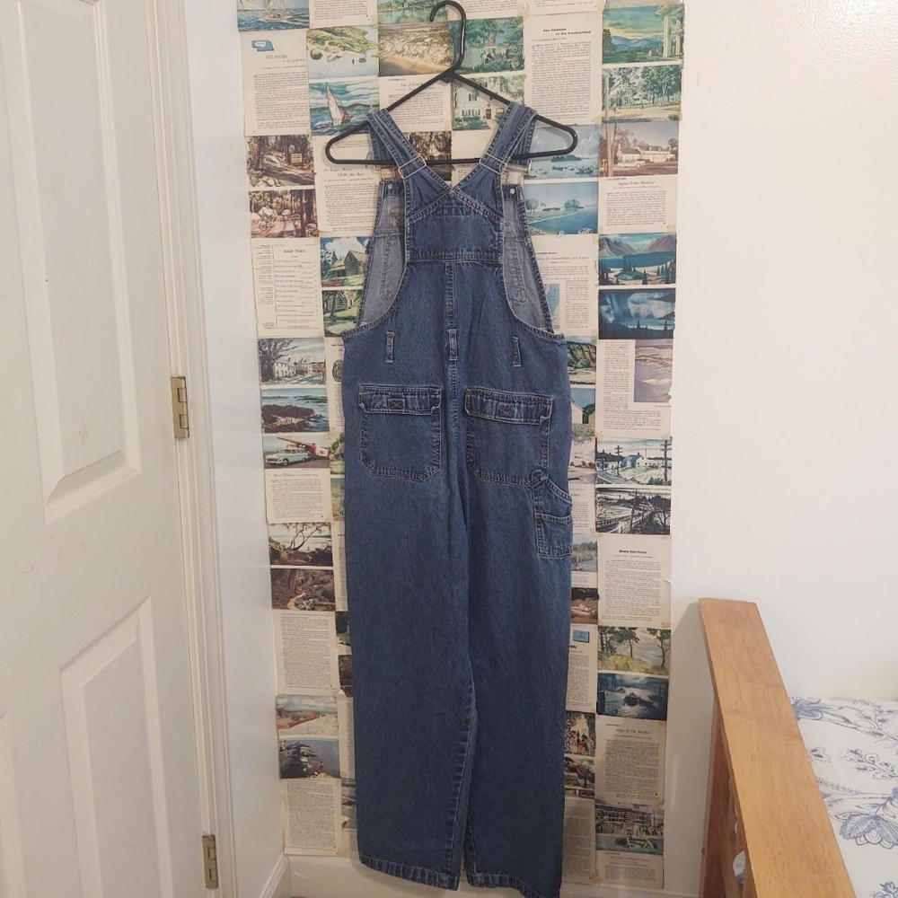 No Boundaries Overalls - Picture 2 of 4